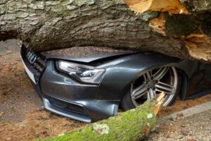 Comprehensive Insurance for Electric Cars: What’s Different?