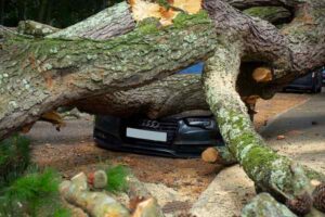 What Does Car Insurance NOT Cover? Common UK Exclusions